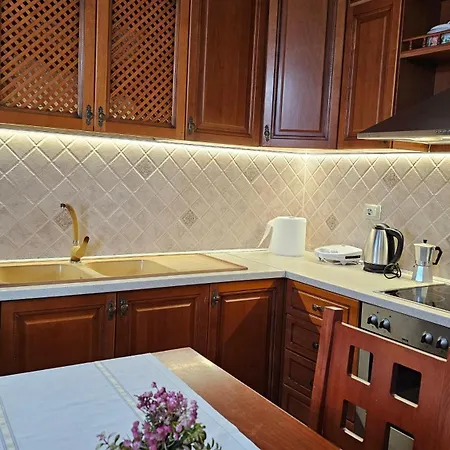 Bazaar's Eye Free Parking Spacious Tarrace ティラナ